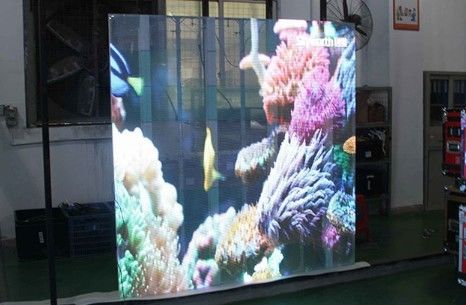 5.6 มม. โปร่งใสสูง Led Shop Window Display 11 Scan 63775dots/ M2