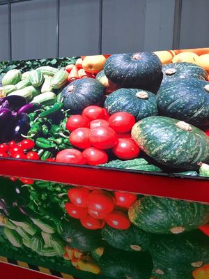 จอจอจอจอจอจอจอจอจอจอจอจอจอ